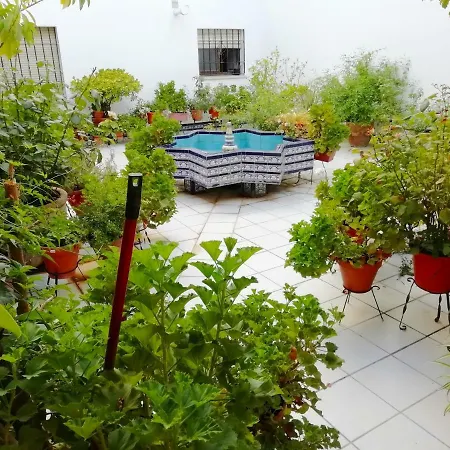 Patios De San Rafael