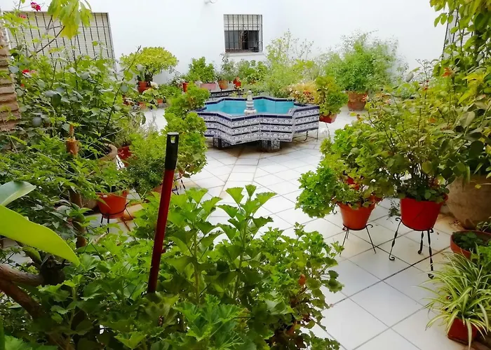 Patios De San Rafael