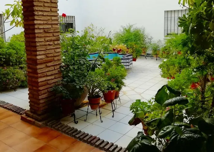 Patios De San Rafael 公寓 *